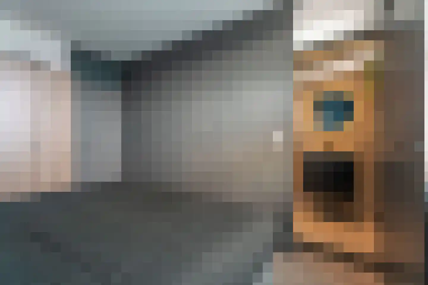Frans Halslaan 227 Oegstgeest thumbnail 16