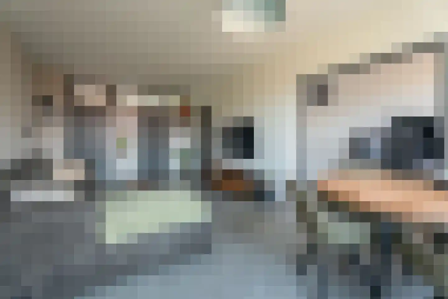 Frans Halslaan 227 Oegstgeest thumbnail 4