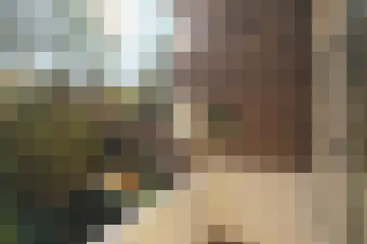 Frans Halslaan 23 Arnhem thumbnail 17