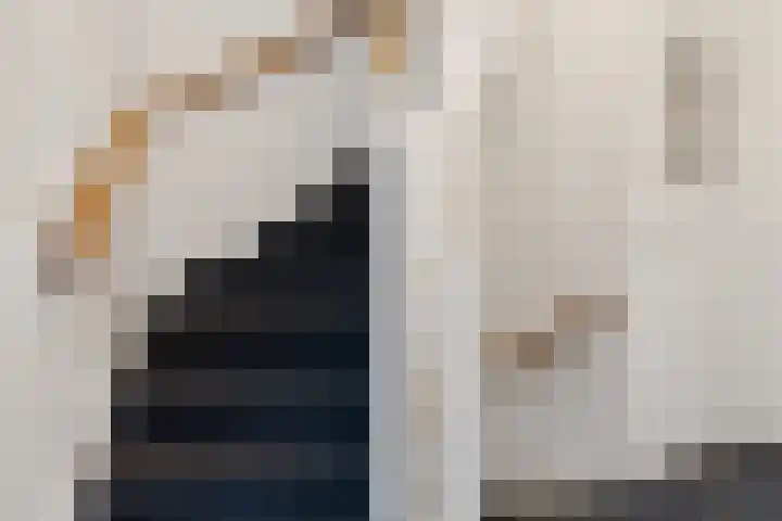 Frans Halslaan 23 Arnhem thumbnail 25