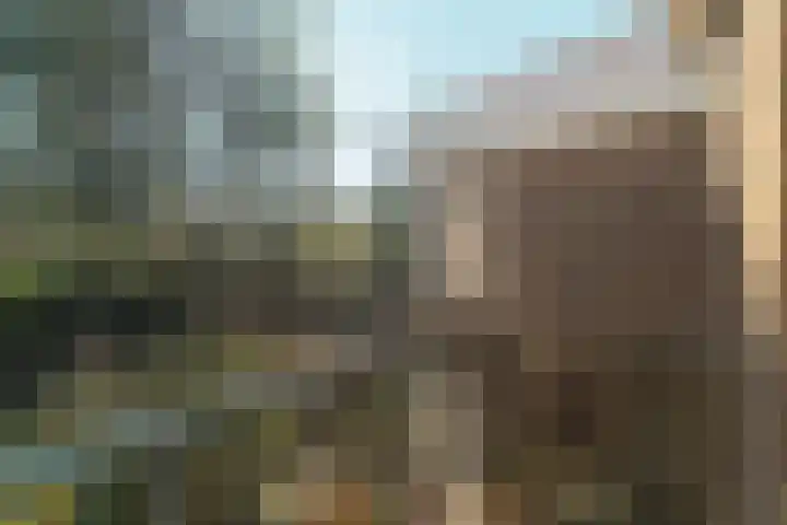 Frans Halslaan 23 Arnhem thumbnail 36