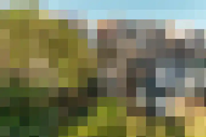 Frans Halslaan 23 Arnhem thumbnail 37