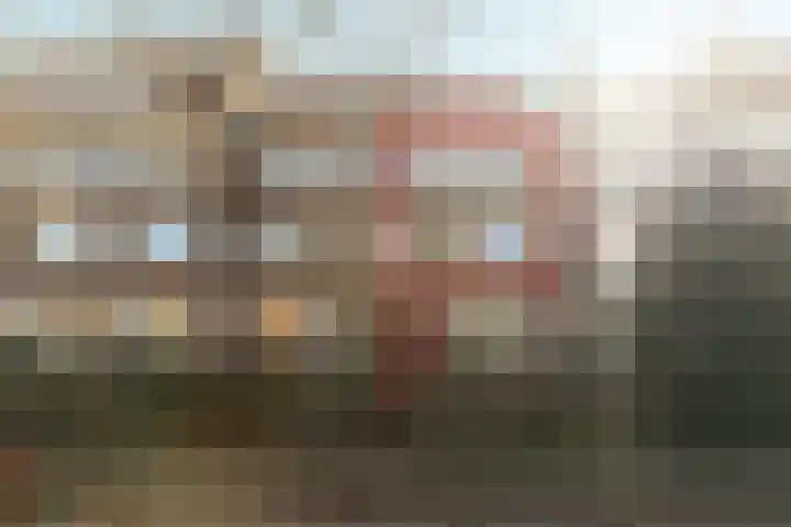 Frans Halslaan 23 Arnhem thumbnail 39