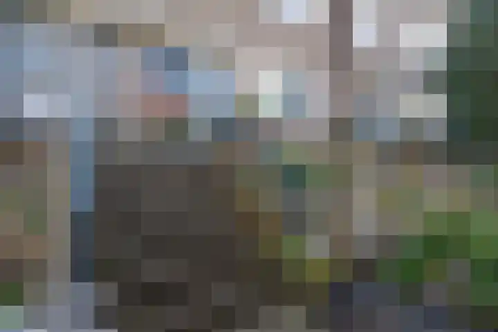 Frans Halslaan 23 Arnhem thumbnail 7