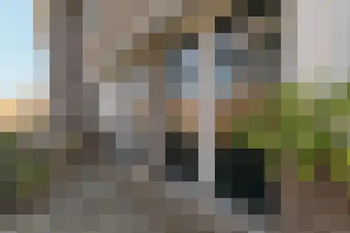 Frans Halslaan 23 Arnhem thumbnail 8