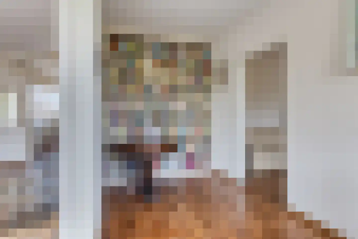 Frans Halslaan 239 Oegstgeest thumbnail 17