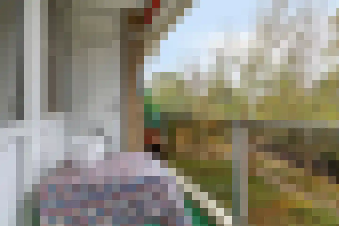Frans Halslaan 239 Oegstgeest thumbnail 22