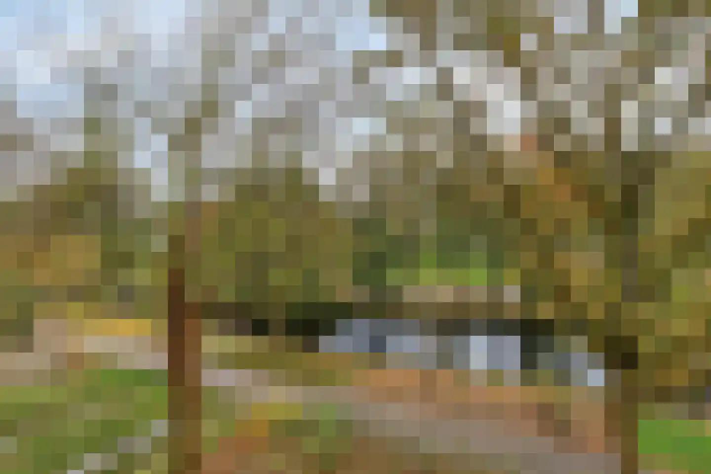 Frans Halslaan 239 Oegstgeest thumbnail 23