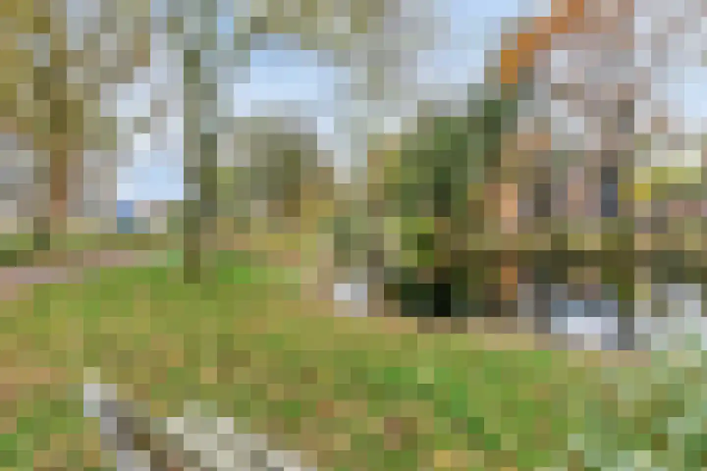 Frans Halslaan 239 Oegstgeest thumbnail 33
