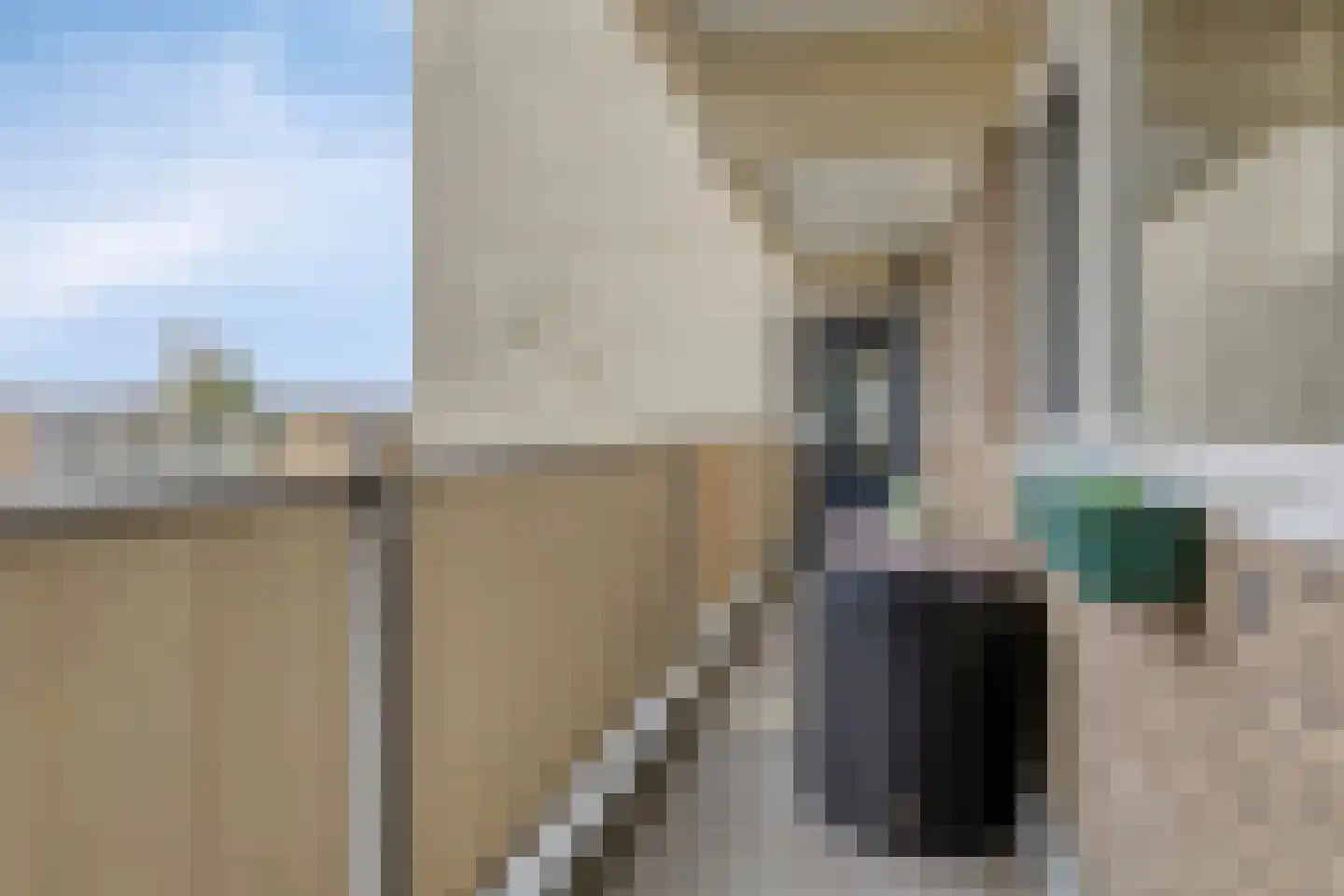 Frans Halslaan 239 Oegstgeest thumbnail 9