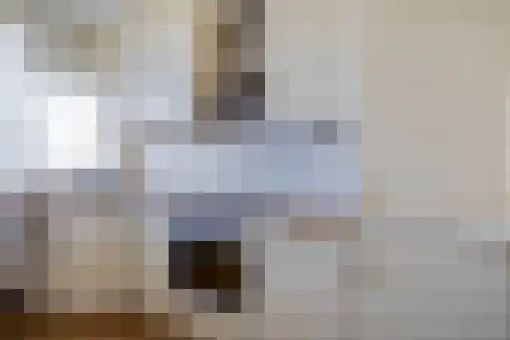 Frans Halslaan 243 Oegstgeest thumbnail 11