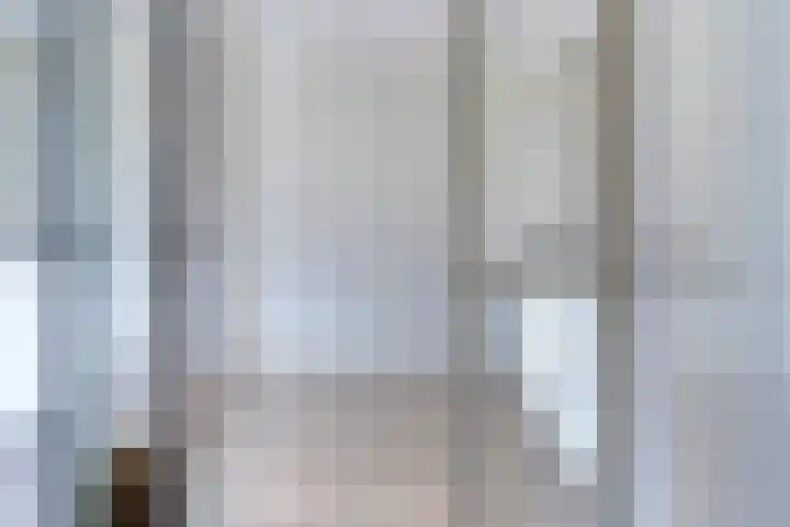 Frans Halslaan 243 Oegstgeest thumbnail 17