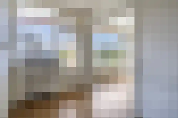 Frans Halslaan 243 Oegstgeest thumbnail 26