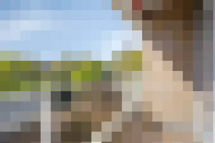 Frans Halslaan 243 Oegstgeest thumbnail 27