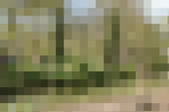 Frans Halslaan 243 Oegstgeest thumbnail 35