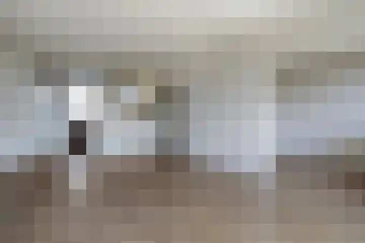 Frans Halslaan 243 Oegstgeest thumbnail 7