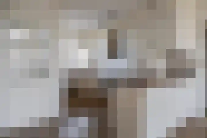 Frans Halslaan 243 Oegstgeest thumbnail 9