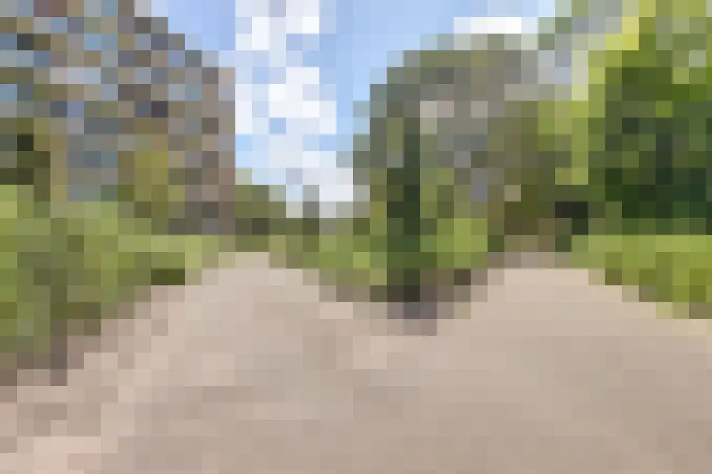 Frans Halslaan 245 Oegstgeest thumbnail 35