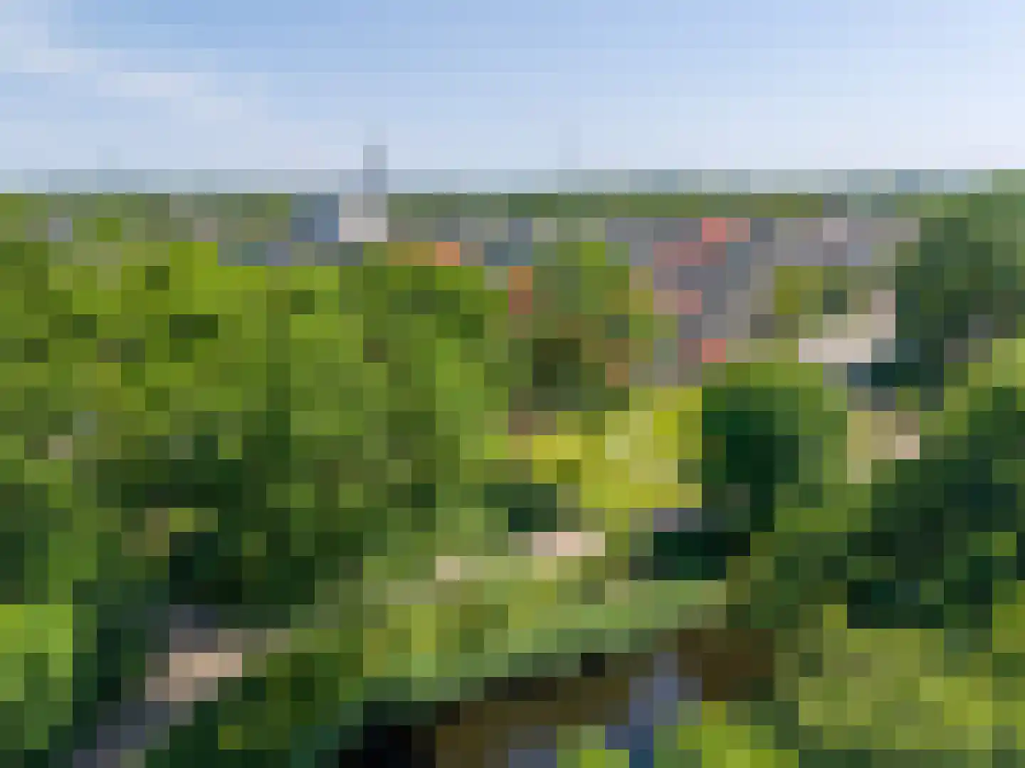 Frans Halslaan 253 Oegstgeest thumbnail 26