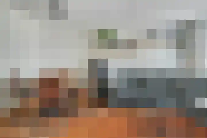 Frans Halslaan 27 Oosterhout thumbnail 18