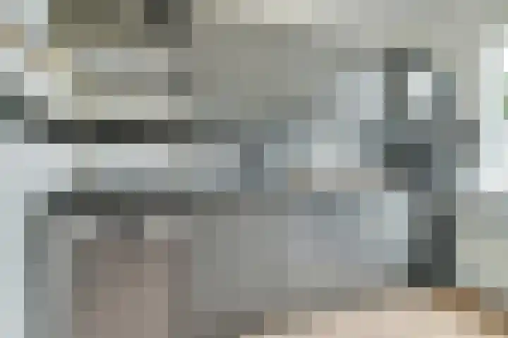 Frans Halslaan 27 Oosterhout thumbnail 20