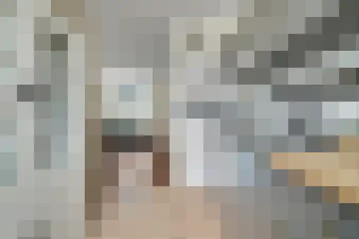 Frans Halslaan 27 Oosterhout thumbnail 21