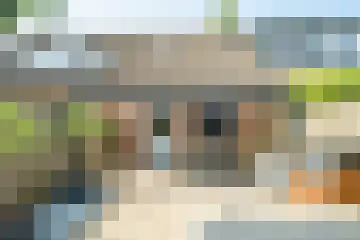 Frans Halslaan 27 Oosterhout thumbnail 26