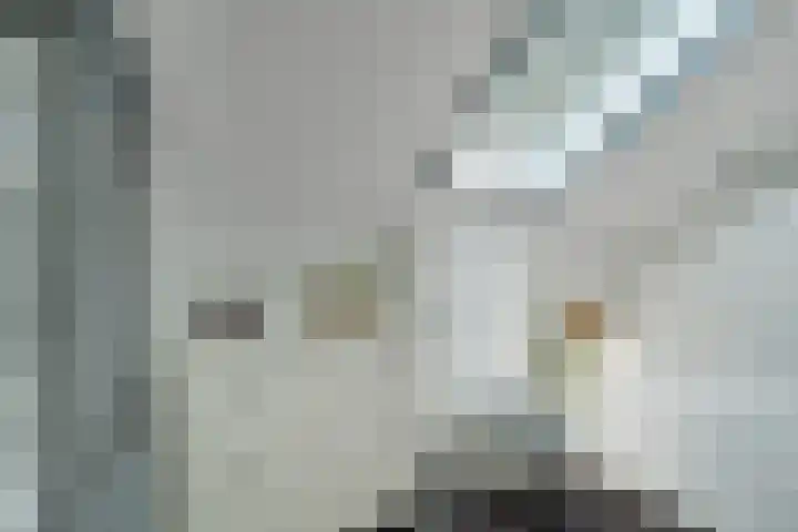 Frans Halslaan 27 Oosterhout thumbnail 39