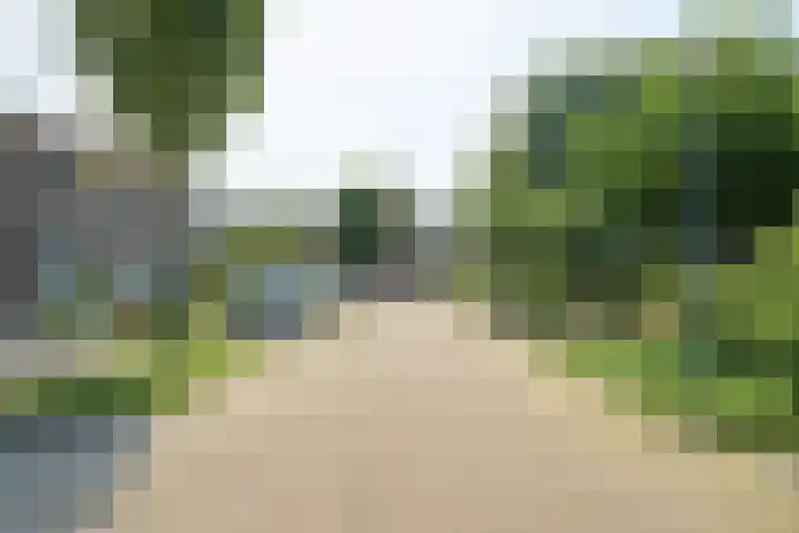 Frans Halslaan 27 Oosterhout thumbnail 43