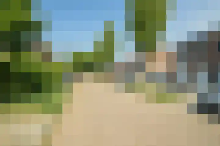 Frans Halslaan 27 Oosterhout thumbnail 44