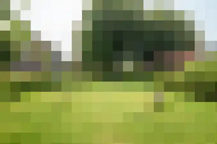Frans Halslaan 27 Oosterhout thumbnail 45
