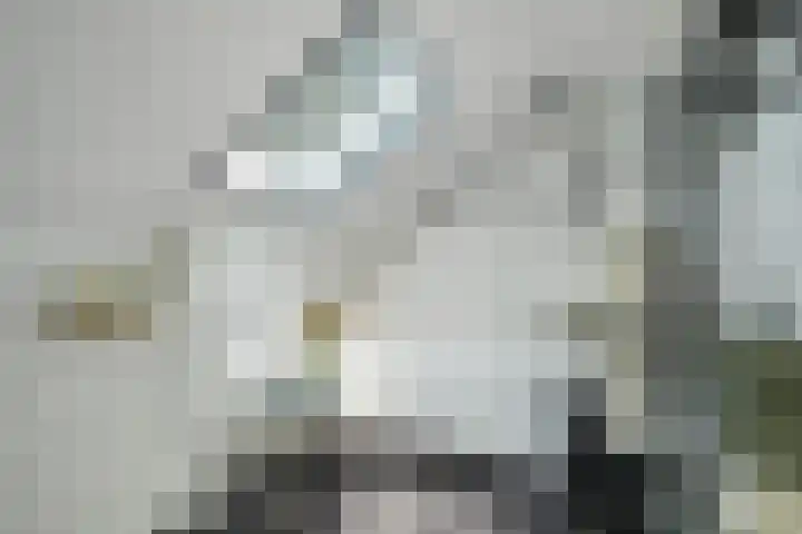 Frans Halslaan 27 Oosterhout thumbnail 5