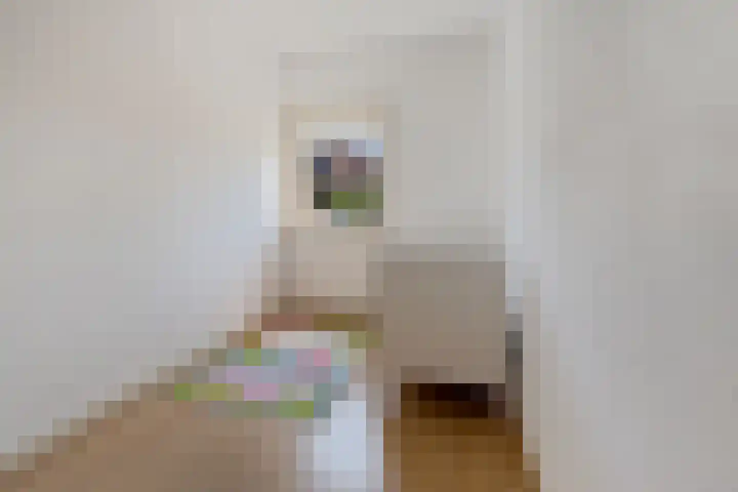 Frans Halslaan 29 Zutphen thumbnail 17
