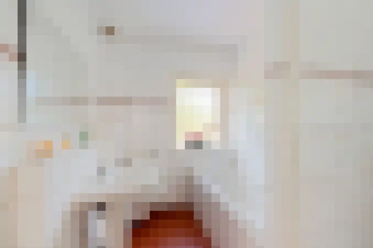 Frans Halslaan 29 Zutphen thumbnail 20