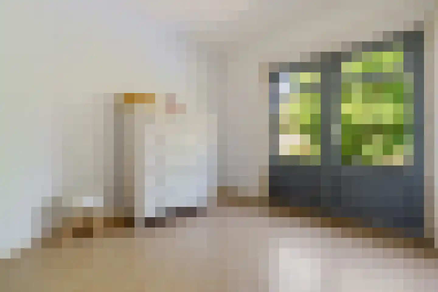 Frans Halslaan 29 Zutphen thumbnail 24