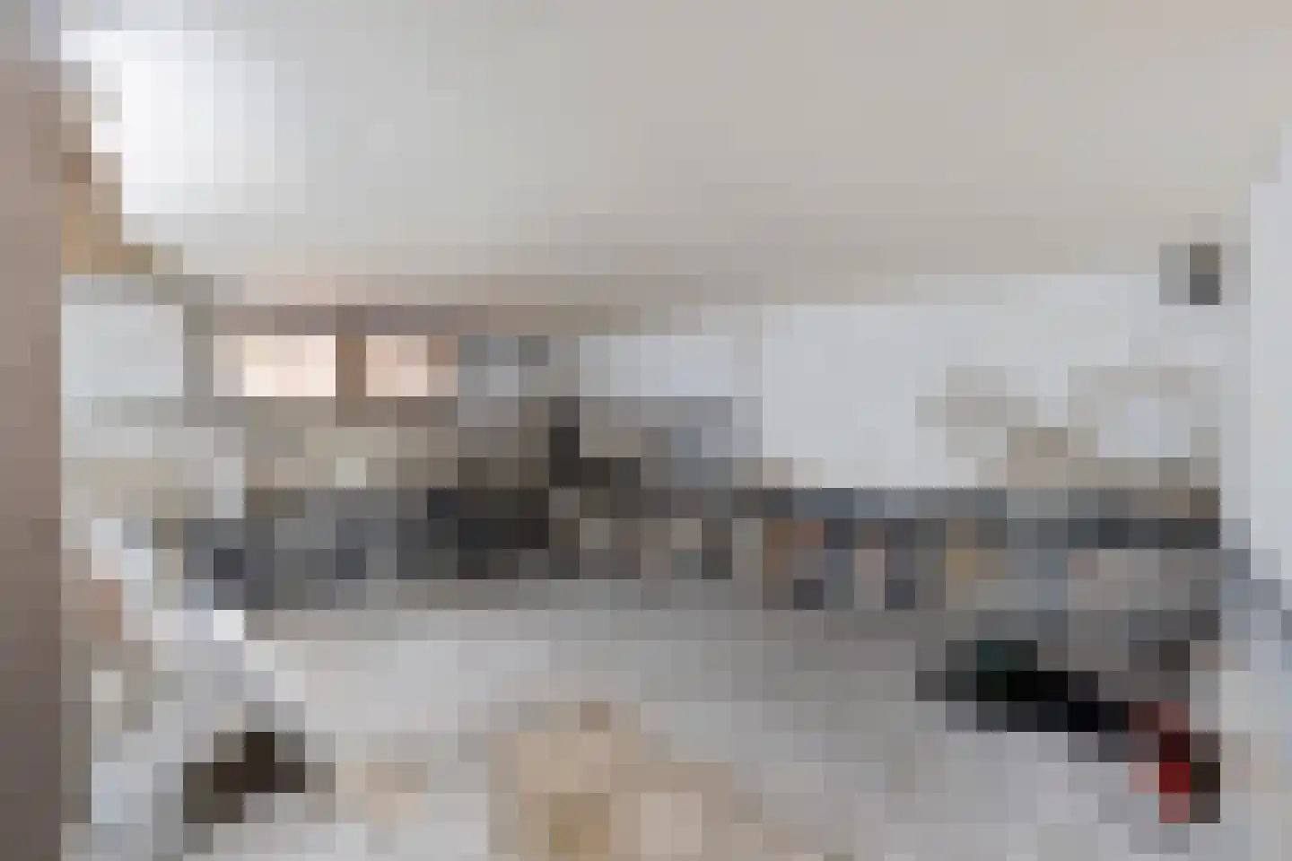 Frans Halslaan 29 Zutphen thumbnail 32