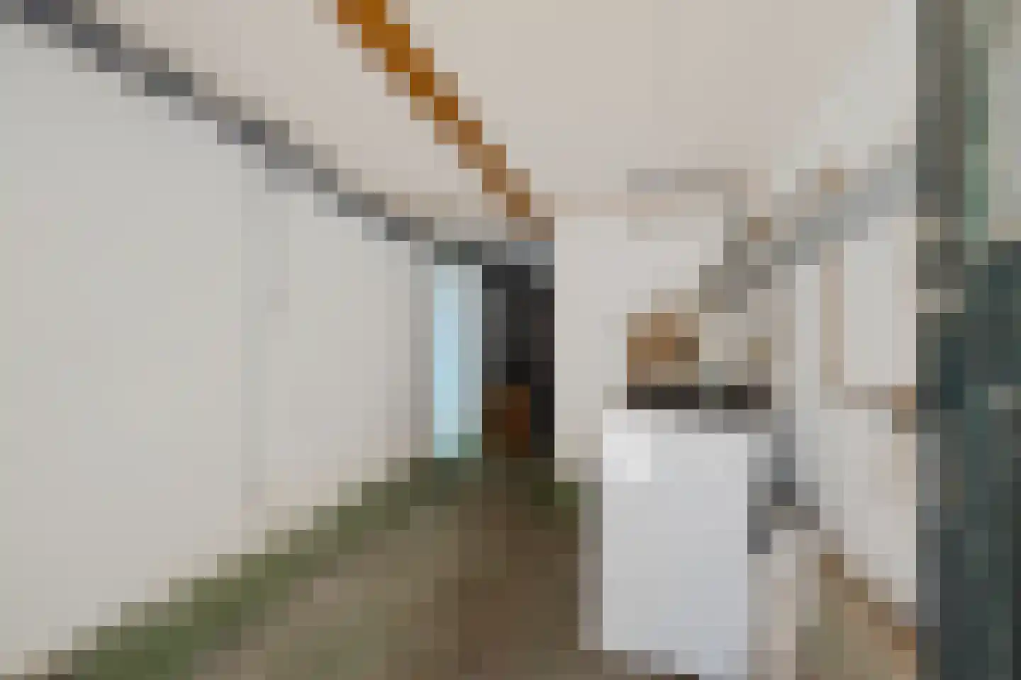 Frans Halslaan 29 Zutphen thumbnail 33
