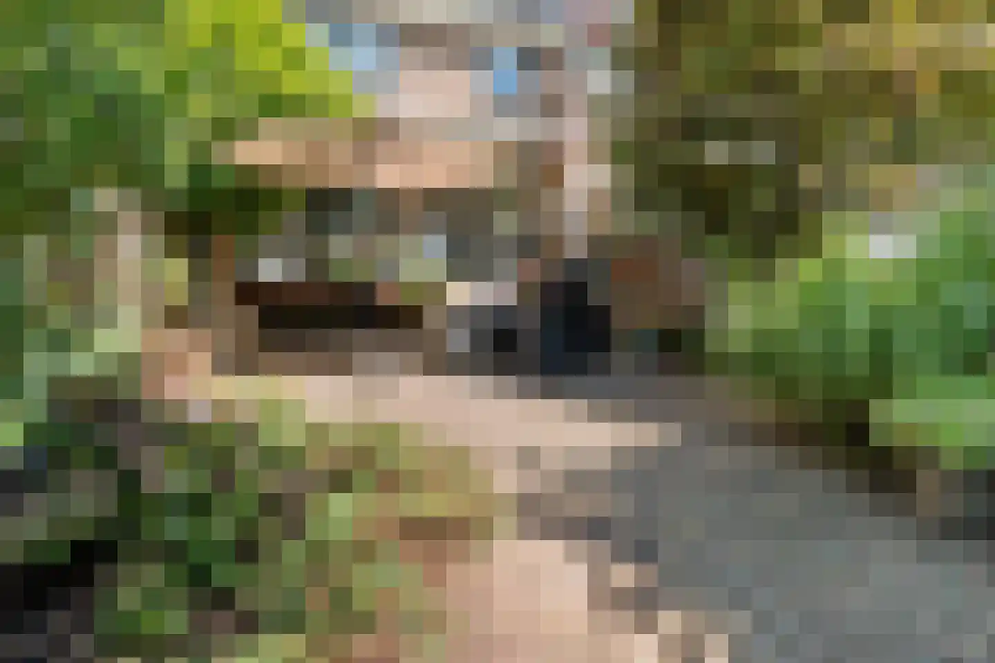 Frans Halslaan 29 Zutphen thumbnail 34