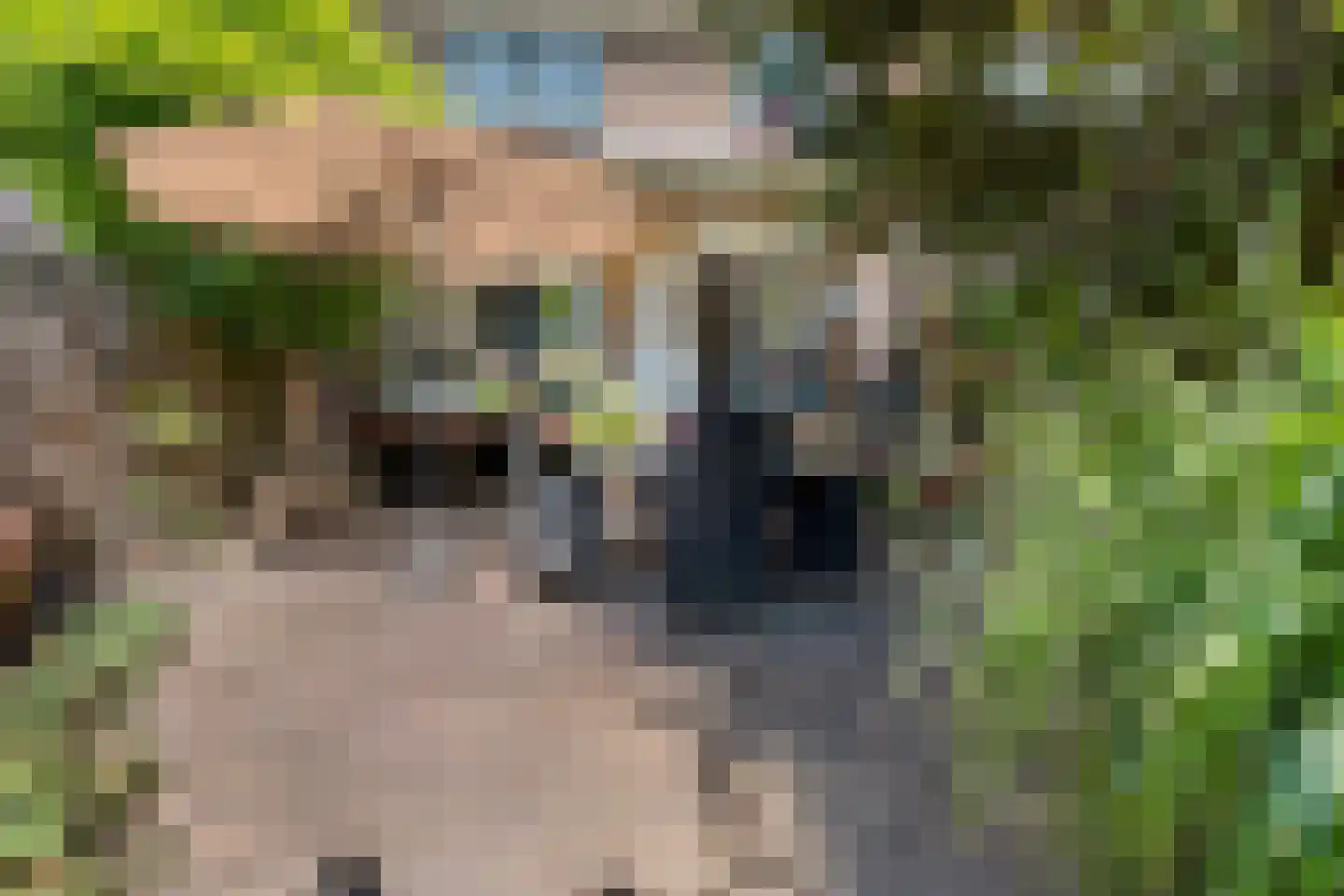 Frans Halslaan 29 Zutphen thumbnail 35