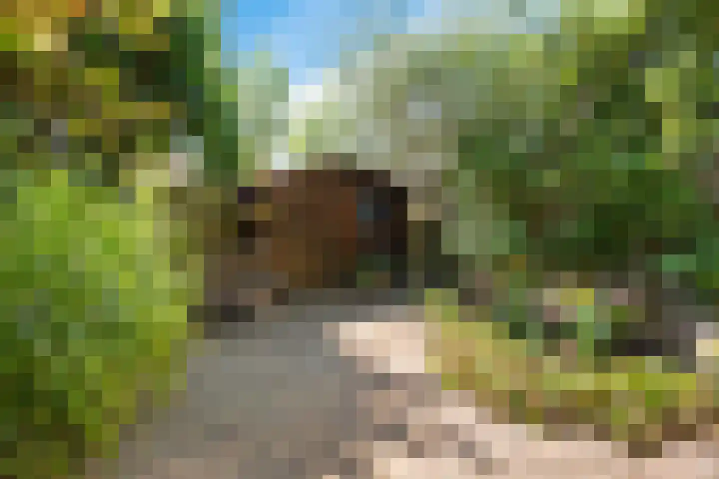 Frans Halslaan 29 Zutphen thumbnail 36