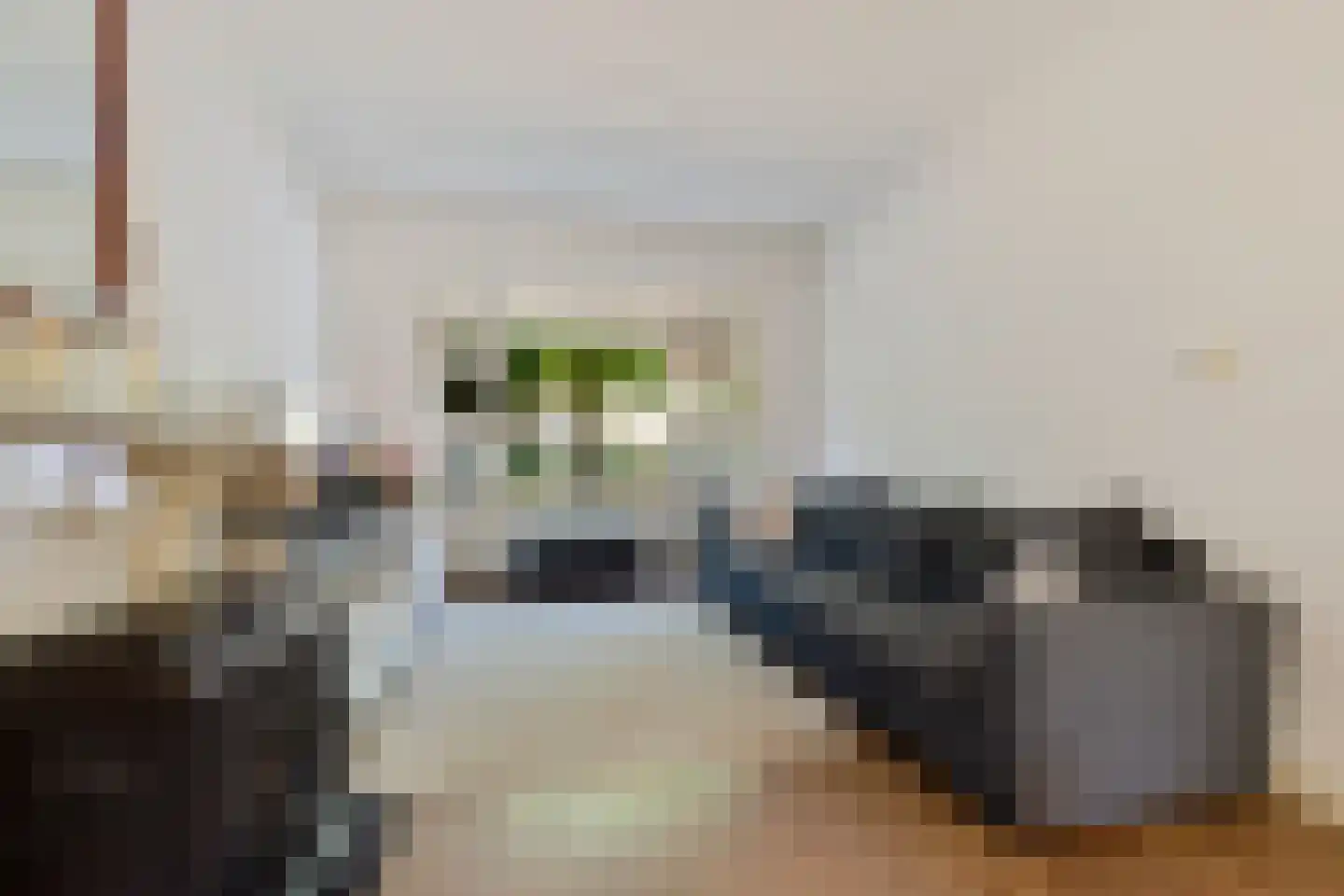 Frans Halslaan 29 Zutphen thumbnail 6