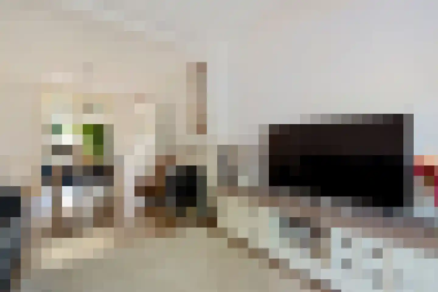 Frans Halslaan 29 Zutphen thumbnail 7