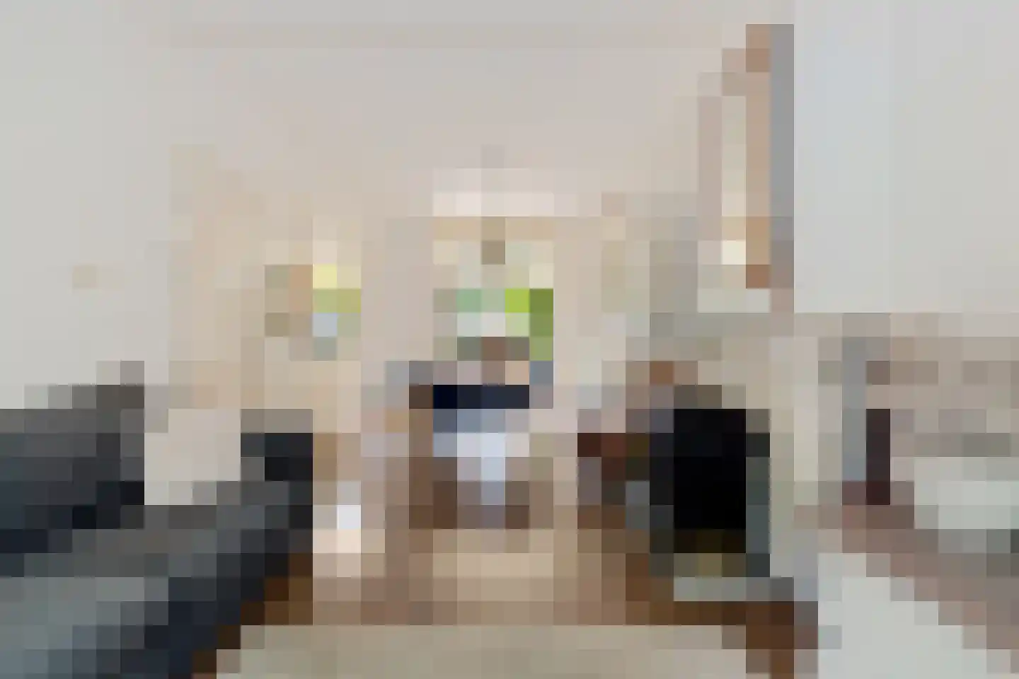 Frans Halslaan 29 Zutphen thumbnail 8
