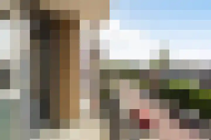 Frans Halslaan 3 B Maassluis thumbnail 21