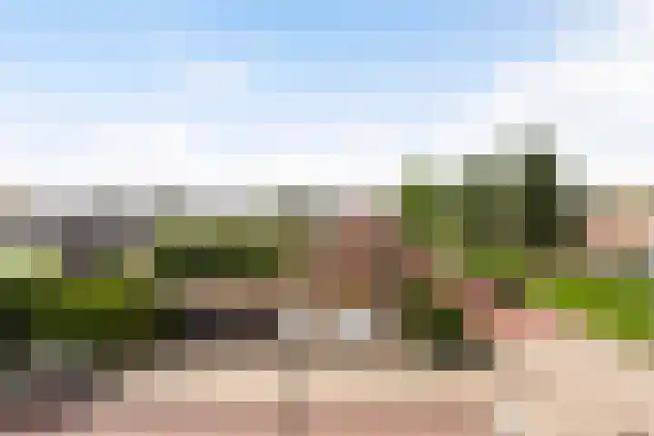 Frans Halslaan 3 B Maassluis thumbnail 22