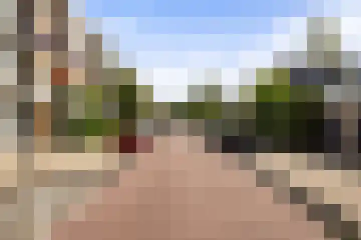 Frans Halslaan 3 B Maassluis thumbnail 30