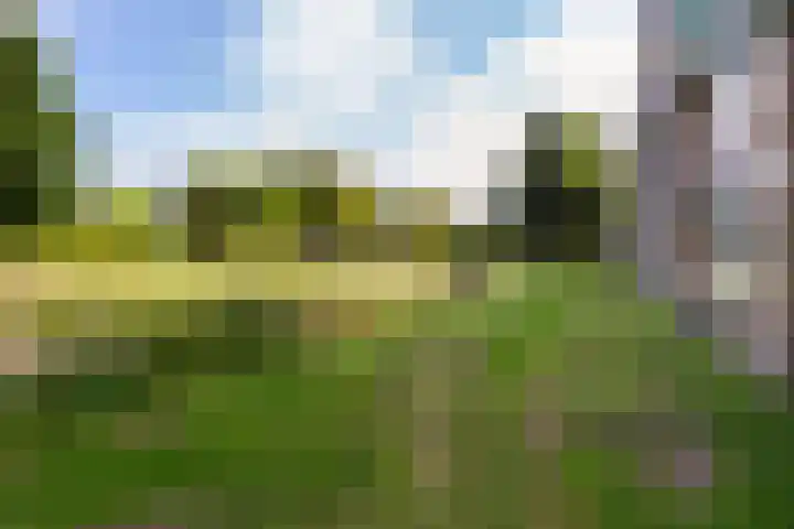 Frans Halslaan 3 B Maassluis thumbnail 4