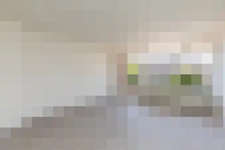 Frans Halslaan 3 I Loosdrecht thumbnail 4