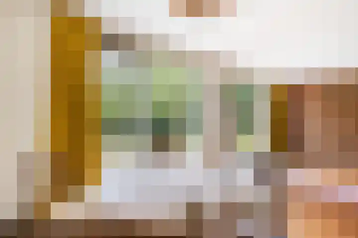 Frans Halslaan 3 Weert thumbnail 17