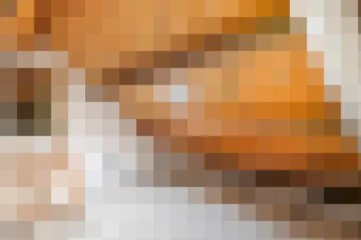 Frans Halslaan 3 Weert thumbnail 34
